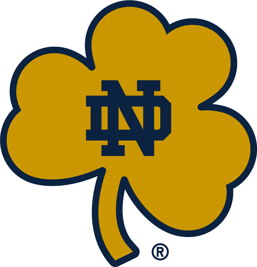 Notre Dame Fighting Irish 2015-Pres Secondary Logo v2 t shirts iron on transfers
